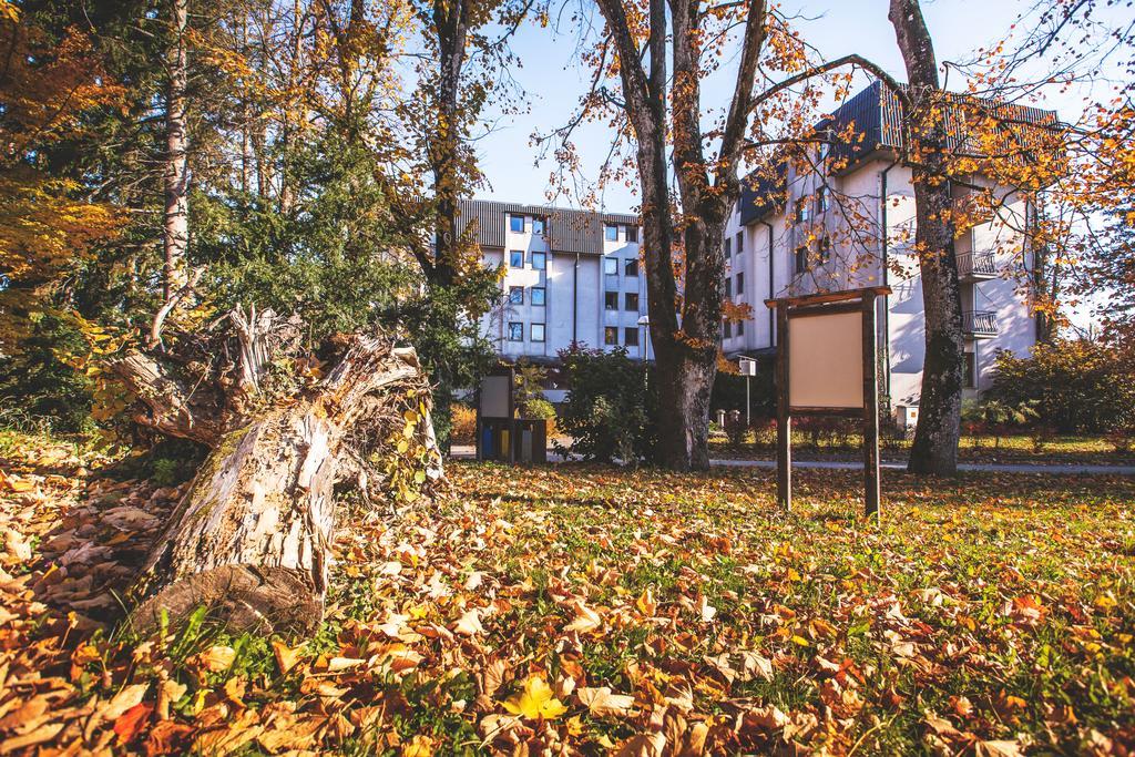 Youth Proteus Hostel Postojna